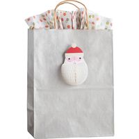 Silver Gift Bags