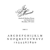 Just Married Diagonal Script Custom Stamp