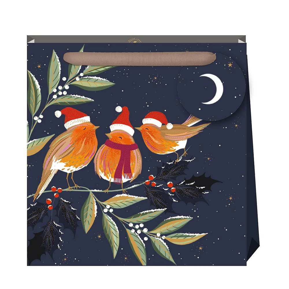 Robins Medium Gift Bag