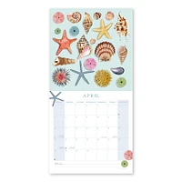 2025 Collector's Cabinet Wall Calendar