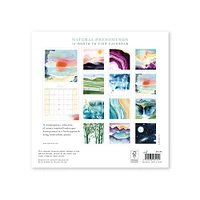 2025 Natural Phenomenon Wall Calendar