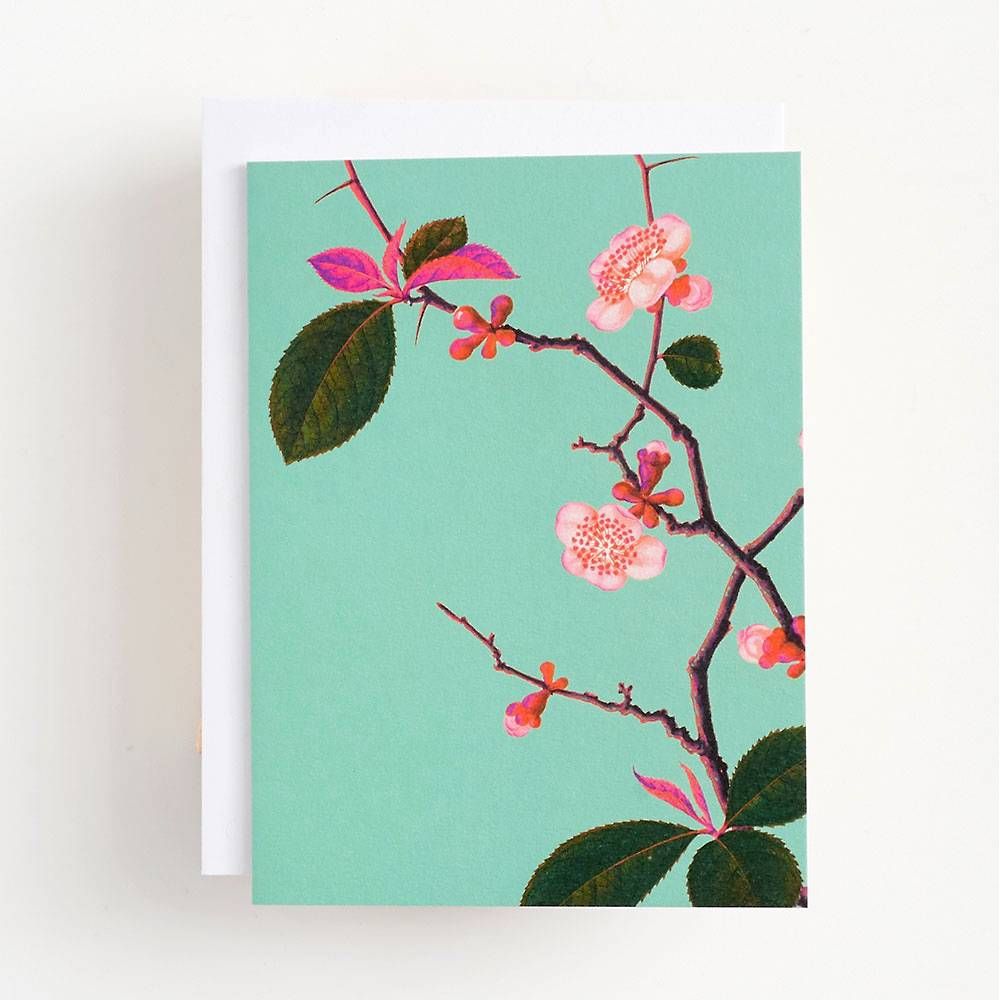 Cherry Blossoms Greeting Card