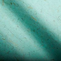 Natural Fibers on Teal Handmade Paper