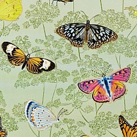 Butterfly Garden Wrapping Paper