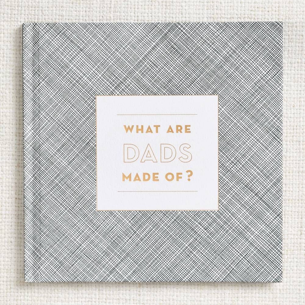 What Are Dads Made Of Book