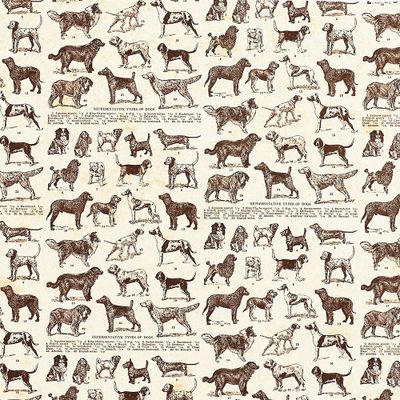 Dog Breeds Handmade Paper