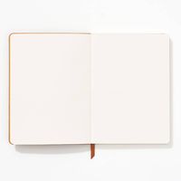 Rust Suede Journal