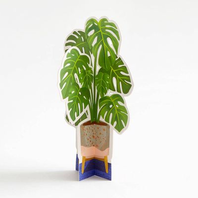 Monstera Pop-Up Paper Plant