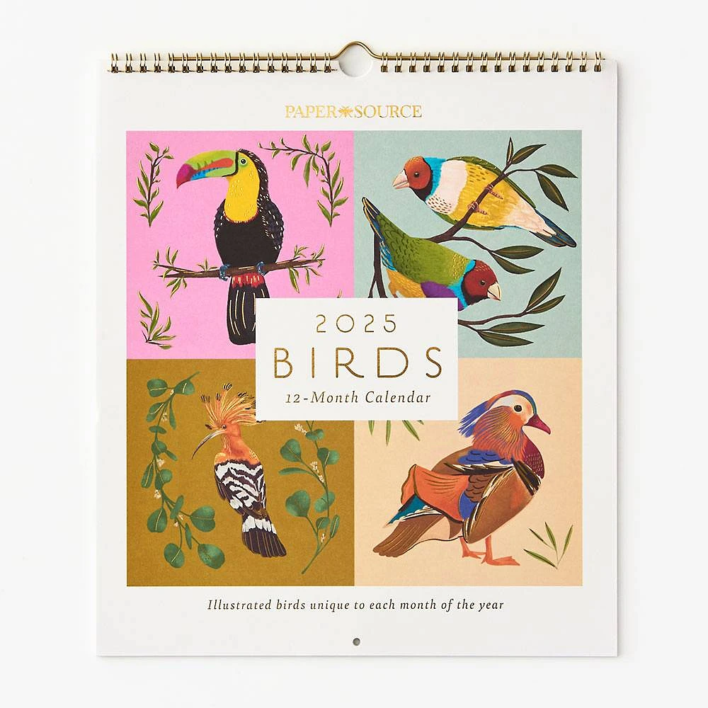 2025 Paper Source Birds Wall Calendar