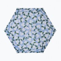 Hydrangea Umbrella