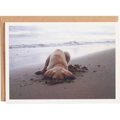 Lab Puppy on Beach Birthday Card