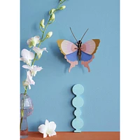 Gold Rim Butterfly Craft Kit