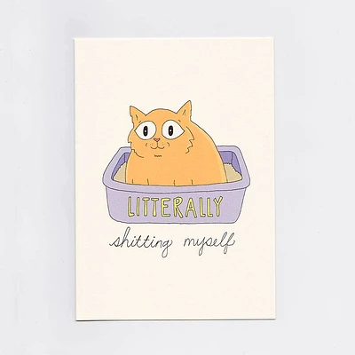 Litter Box Greeting Card