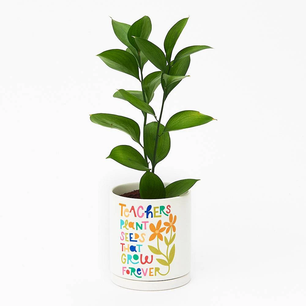 Teachers Plant Seeds Planter