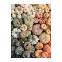 Heirloom Pumpkin Puzzle