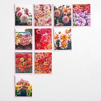 Dahlia Stationery Set