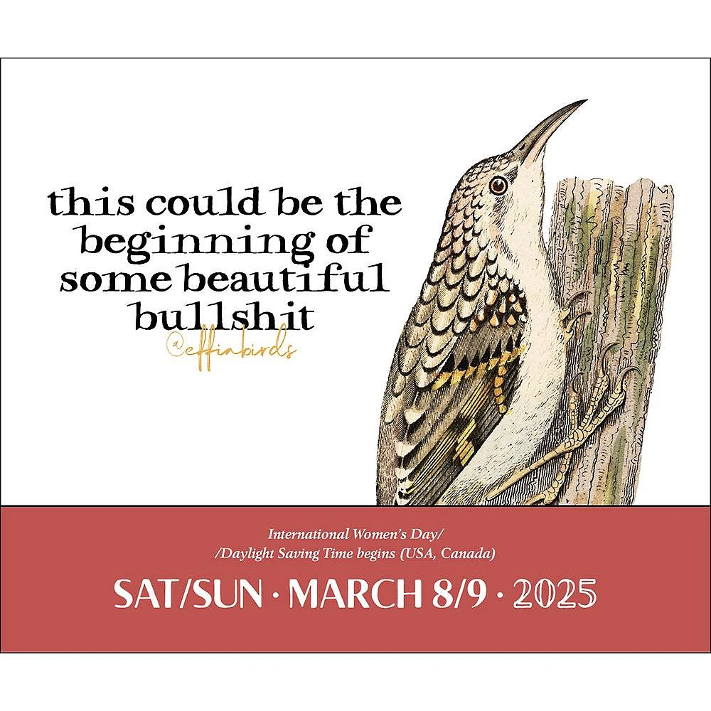2025 Effin' Birds Day-to-Day Desk Calendar