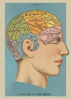 Phrenology Flat Wrap