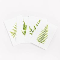 Living Pattern Fern Postcards