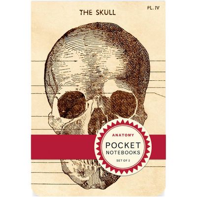 Anatomy Pocket Journals