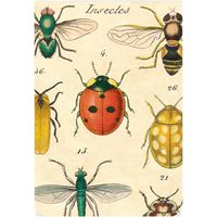 Insects Pocket Journals