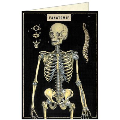 Skeleton Card
