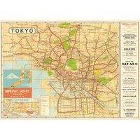 Tokyo Map Flat Wrap