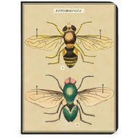 Insects Journals