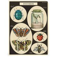 Insects Journals