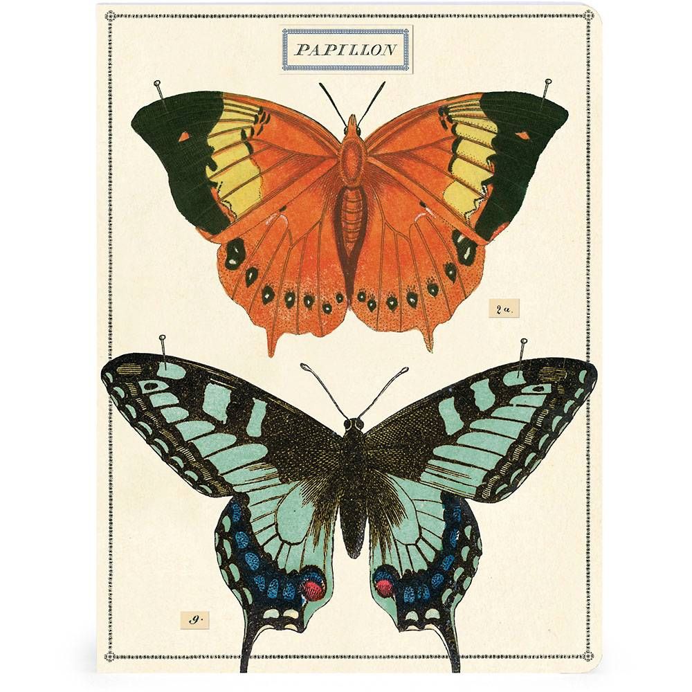 Birds and Butterflies Journals