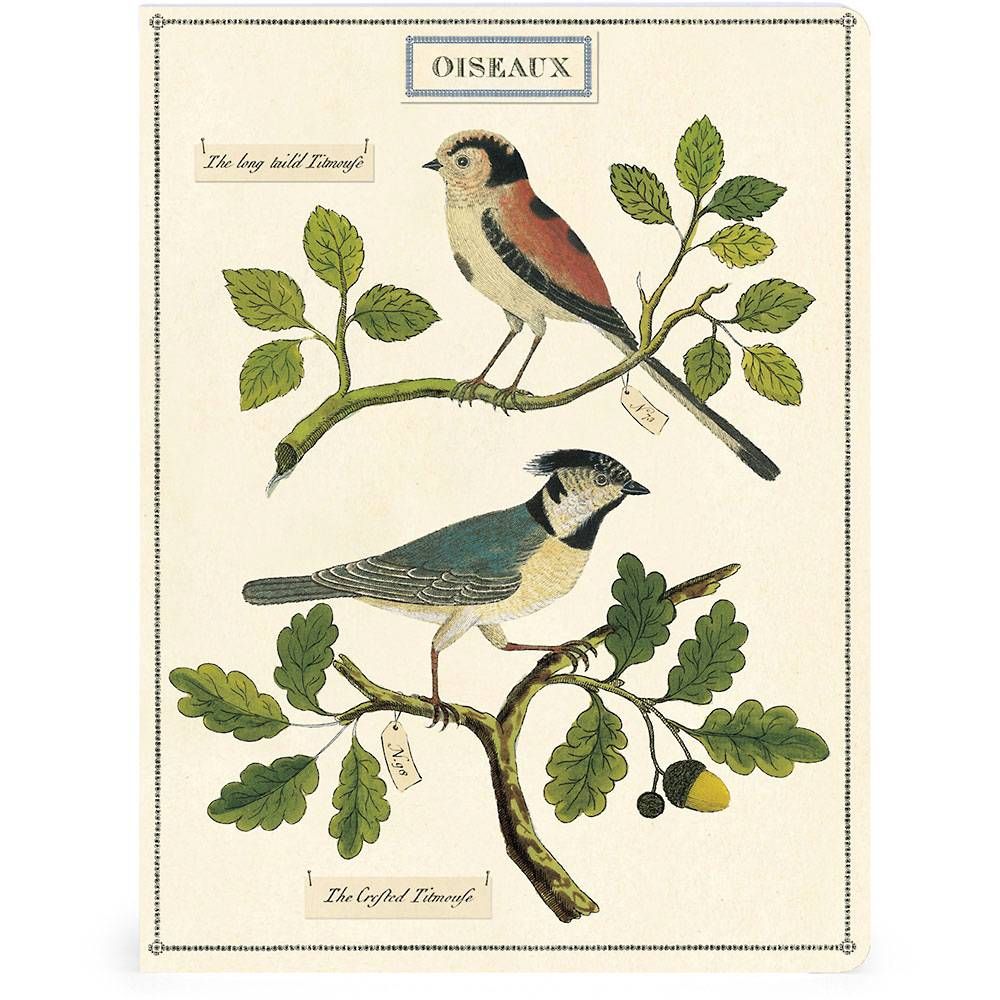 Birds and Butterflies Journals