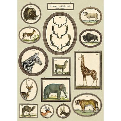 Natural History Animals Flat Wrap