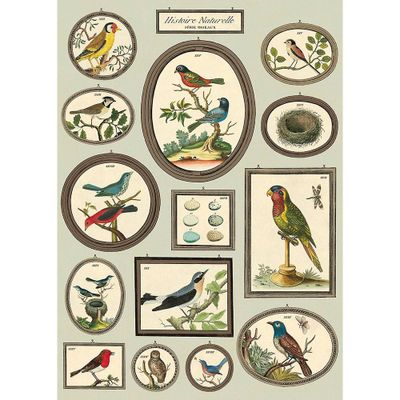 Birds Natural History Flat Wrap