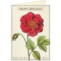 Happy Birthday Rose Card