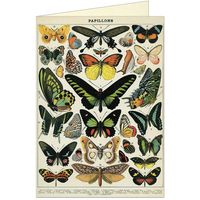 Butterflies Greeting Card