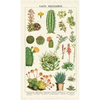 Succulents Tea Towel