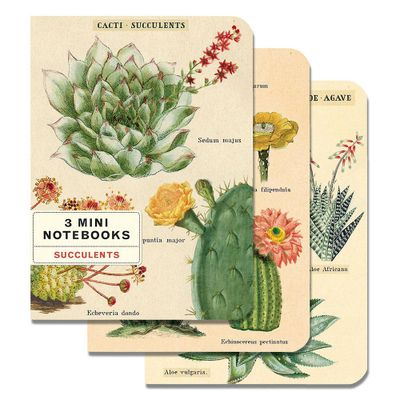 Succulents Mini Journals