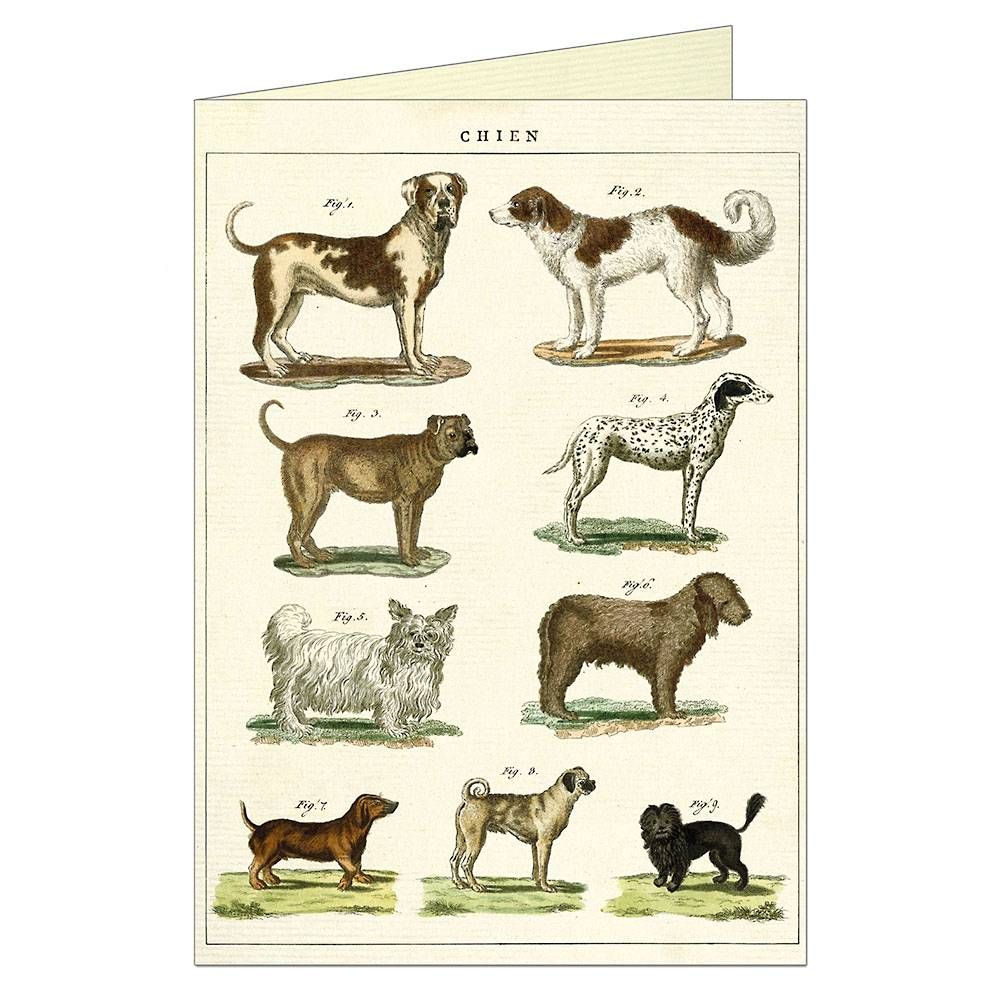 Dog Chart Greeting Card