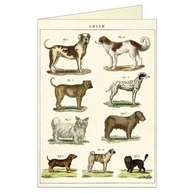 Dog Chart Greeting Card