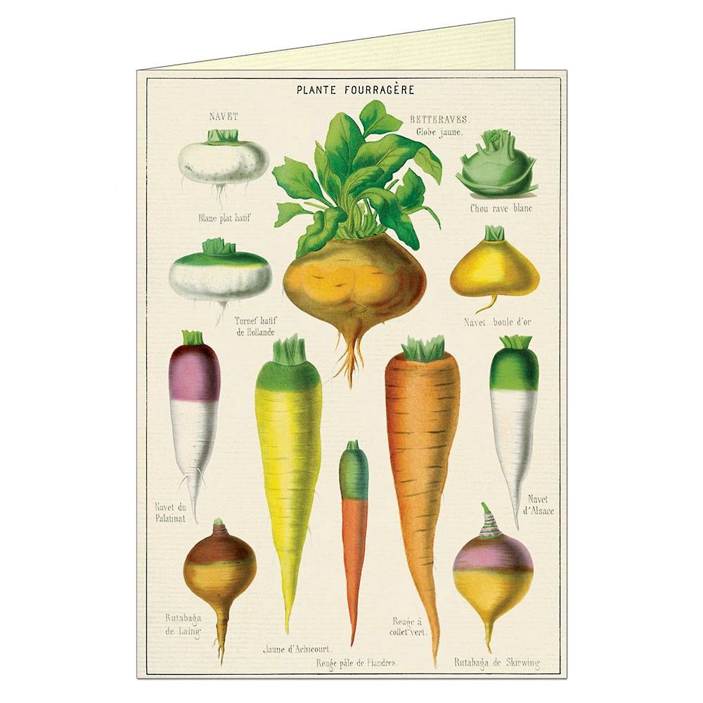 Vegetables Greeting Card