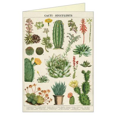 Cacti and Succulents Greeting Card