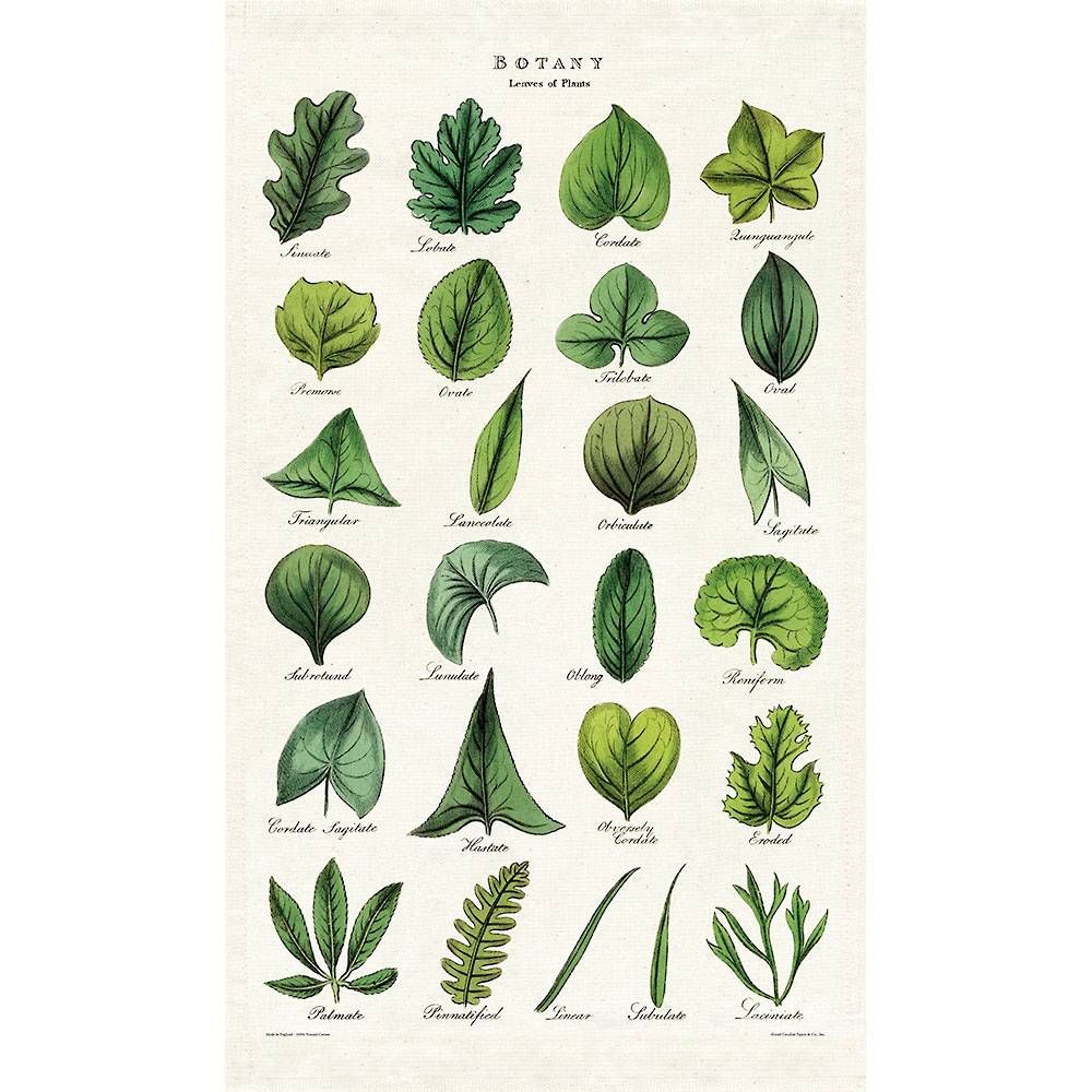 Botany Leaves Tea Towel