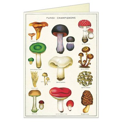 Mushrooms Greeting Card