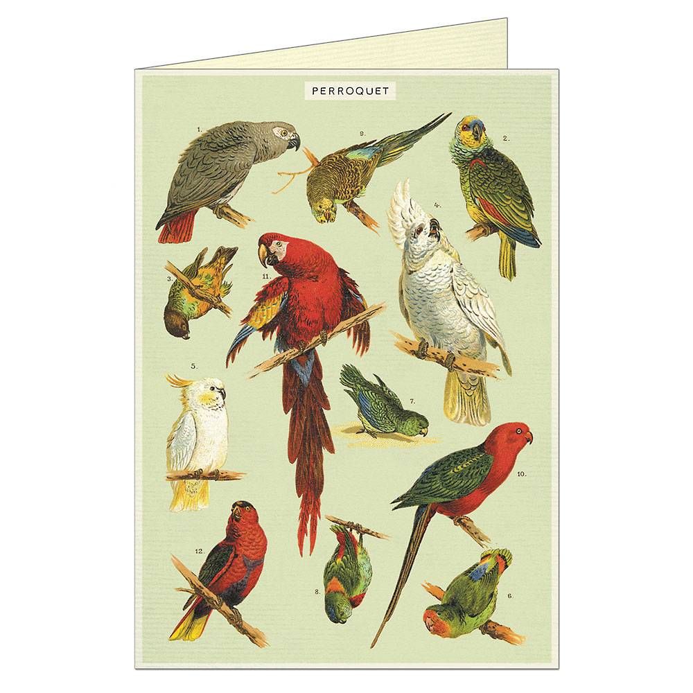 Parrots Greeting Card