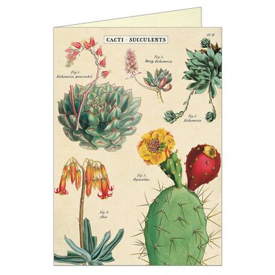 Cacti & Succulents 2 Greeting Card