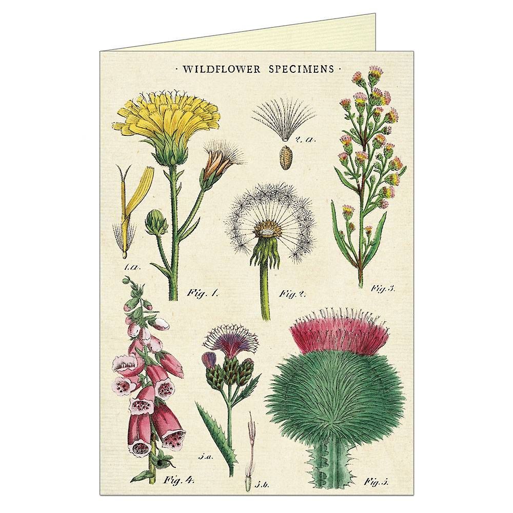 Wildflowers Greeting Card