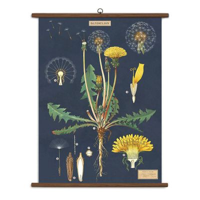 Dandelion Vintage School Chart