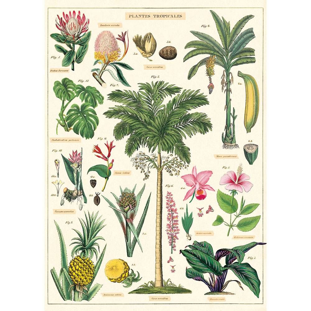 Tropical Plants Flat Wrap