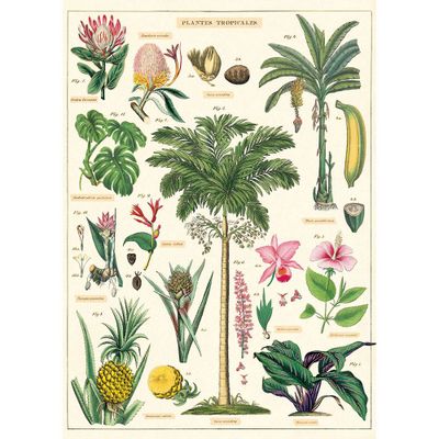 Tropical Plants Flat Wrap