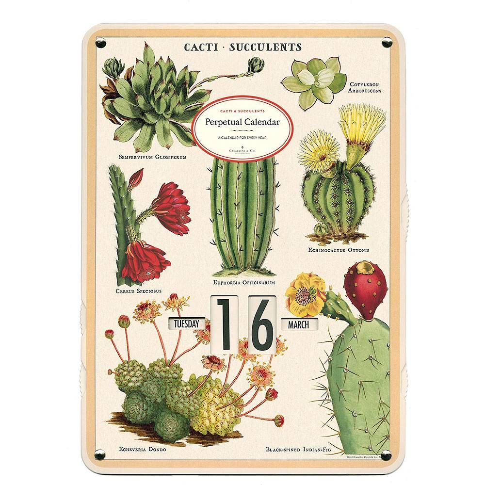 Cavallini Succulents Perpetual Calendar